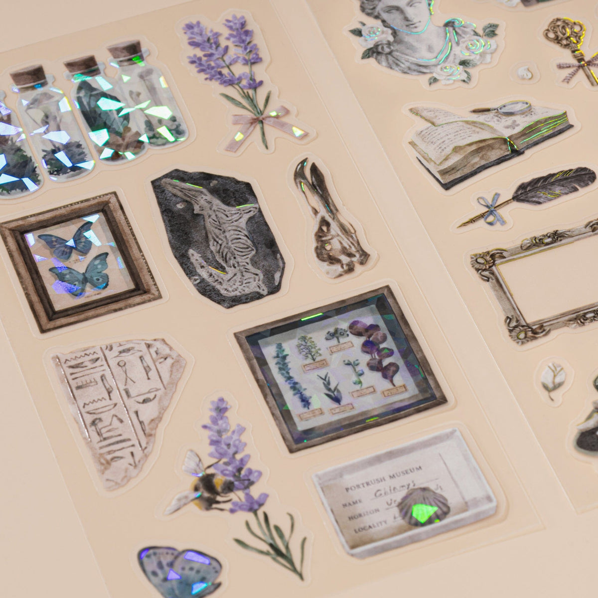 Hinoki ‘Into the Archive’ Bundle