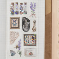 Hinoki ‘Into the Archive’ Bundle