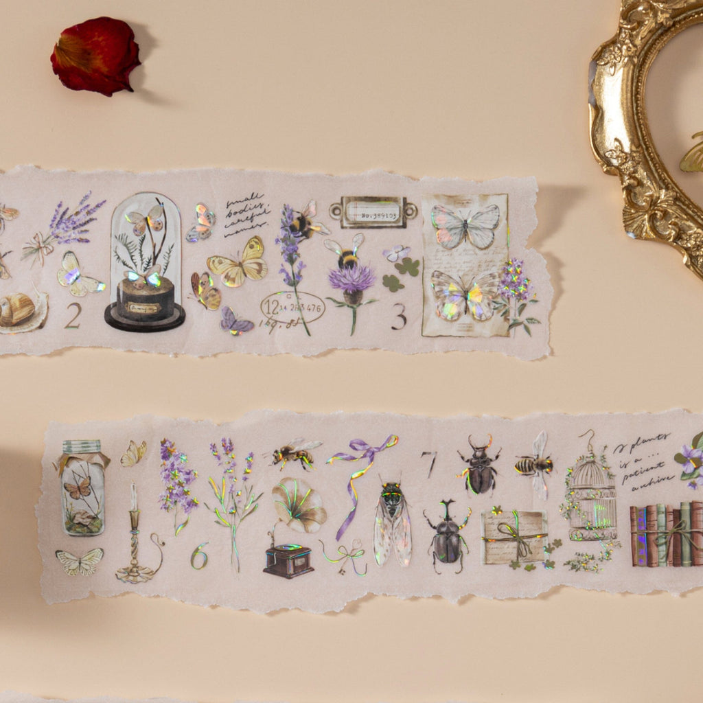 Hinoki ‘Into the Archive’ Bundle