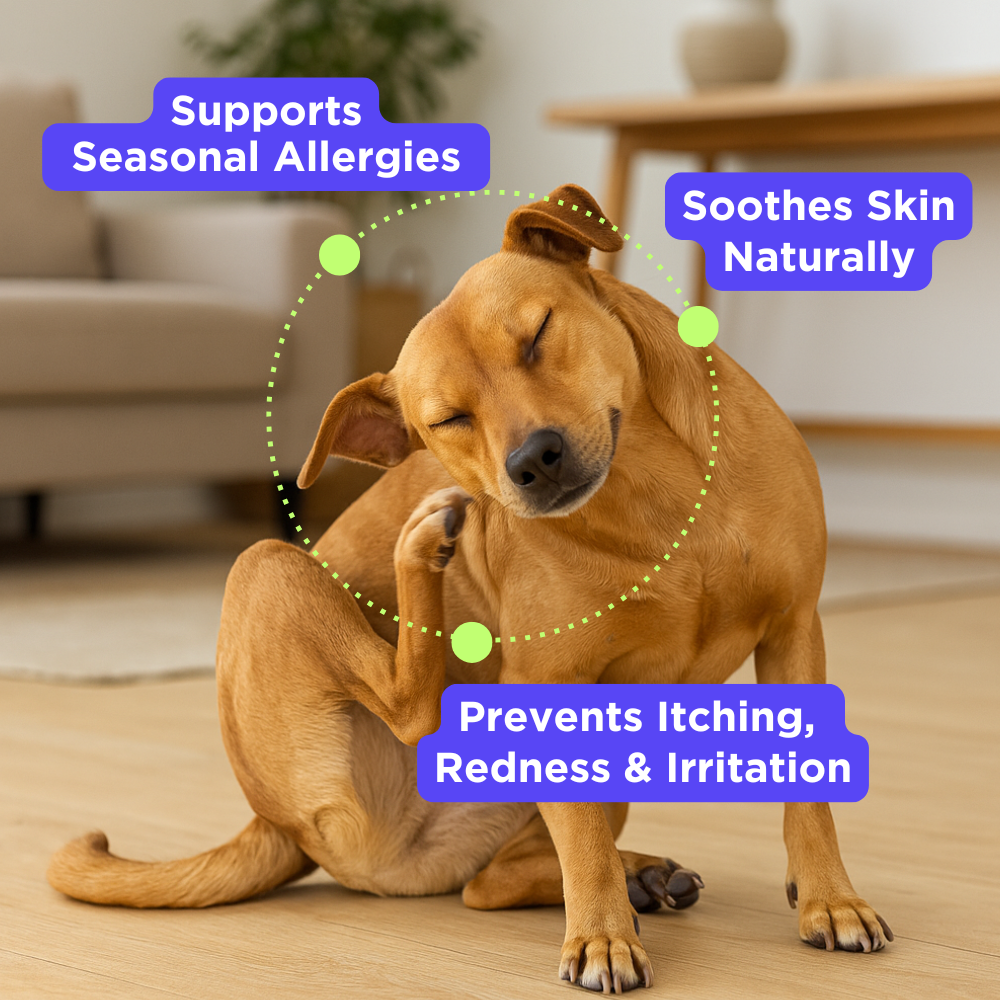 Allergy