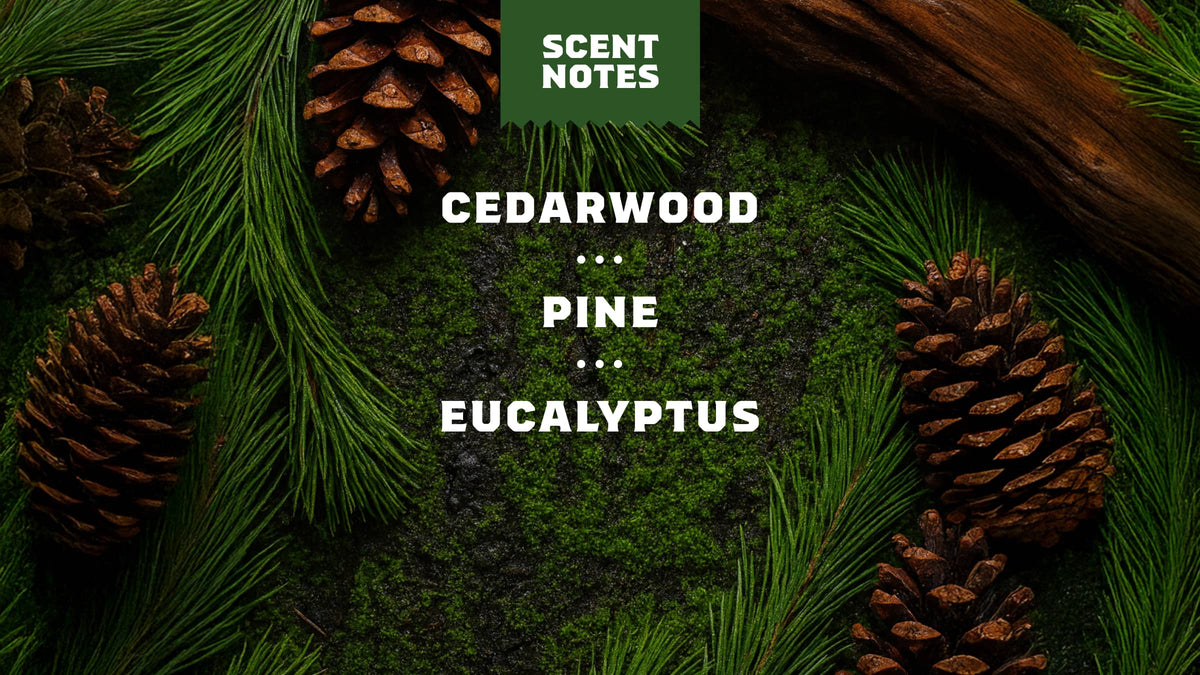 Pinewood — Savon corps exfoliant pour homme — visuel 4