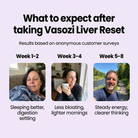 Vasozi Liver Reset